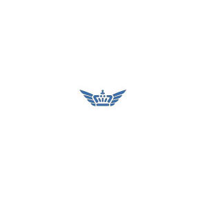 Bright Star Engineering